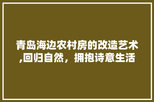 青岛海边农村房的改造艺术,回归自然，拥抱诗意生活