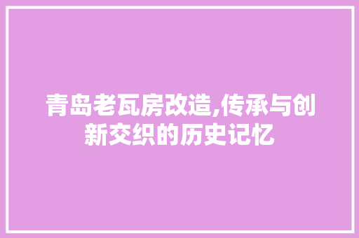 青岛老瓦房改造,传承与创新交织的历史记忆