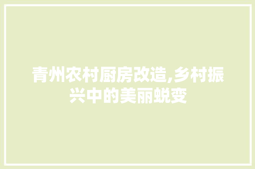 青州农村厨房改造,乡村振兴中的美丽蜕变