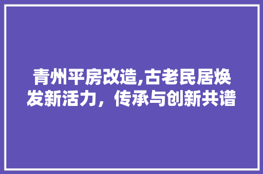 青州平房改造,古老民居焕发新活力，传承与创新共谱美好篇章