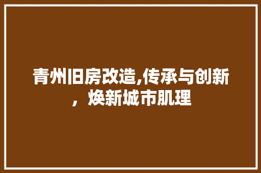 青州旧房改造,传承与创新，焕新城市肌理