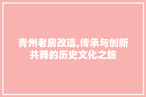 青州老房改造,传承与创新共舞的历史文化之旅