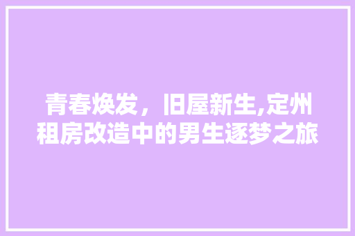 青春焕发，旧屋新生,定州租房改造中的男生逐梦之旅