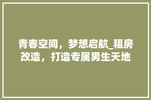 青春空间，梦想启航_租房改造，打造专属男生天地