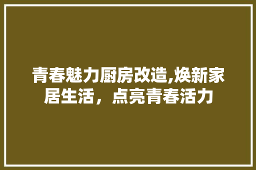 青春魅力厨房改造,焕新家居生活，点亮青春活力