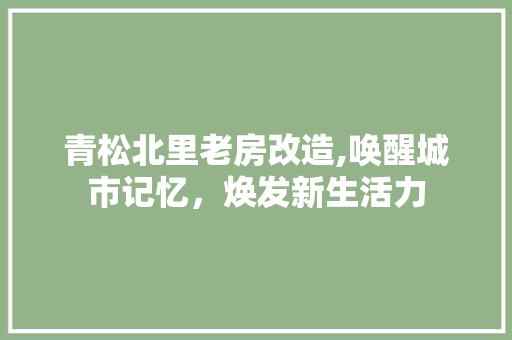 青松北里老房改造,唤醒城市记忆，焕发新生活力