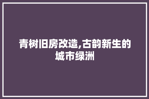 青树旧房改造,古韵新生的城市绿洲