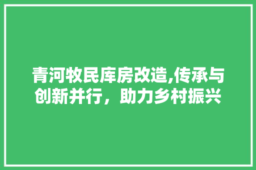 青河牧民库房改造,传承与创新并行，助力乡村振兴