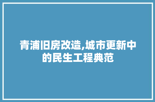 青浦旧房改造,城市更新中的民生工程典范