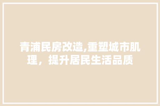 青浦民房改造,重塑城市肌理，提升居民生活品质