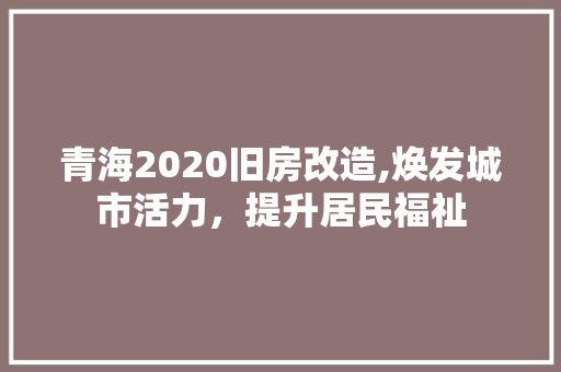 青海2020旧房改造,焕发城市活力，提升居民福祉