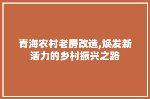 青海农村老房改造,焕发新活力的乡村振兴之路