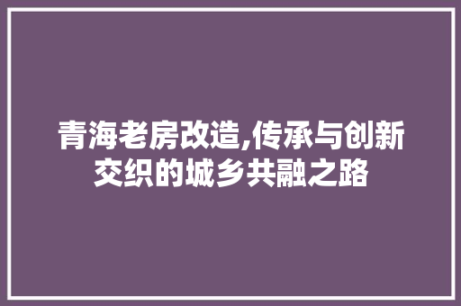 青海老房改造,传承与创新交织的城乡共融之路