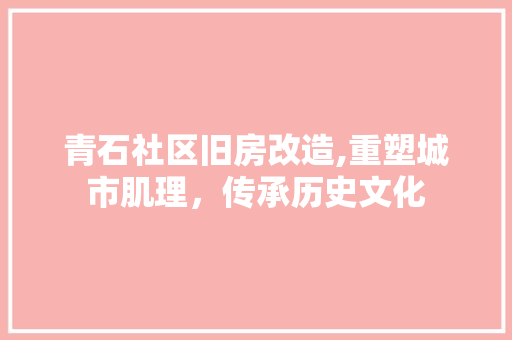 青石社区旧房改造,重塑城市肌理，传承历史文化