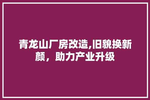 青龙山厂房改造,旧貌换新颜，助力产业升级