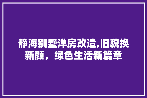 静海别墅洋房改造,旧貌换新颜，绿色生活新篇章 墙体维修