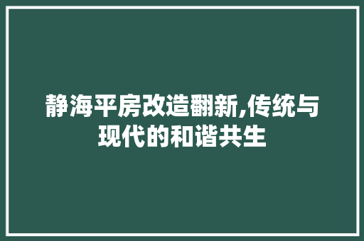静海平房改造翻新,传统与现代的和谐共生