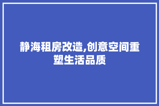 静海租房改造,创意空间重塑生活品质