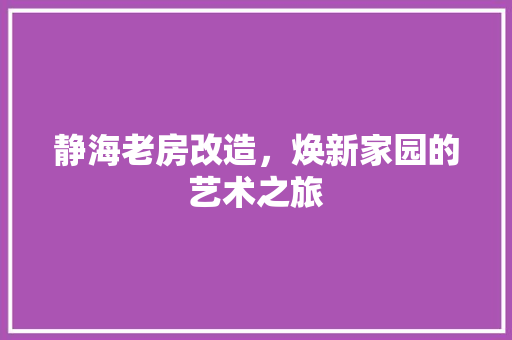 静海老房改造，焕新家园的艺术之旅