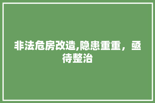 非法危房改造,隐患重重，亟待整治