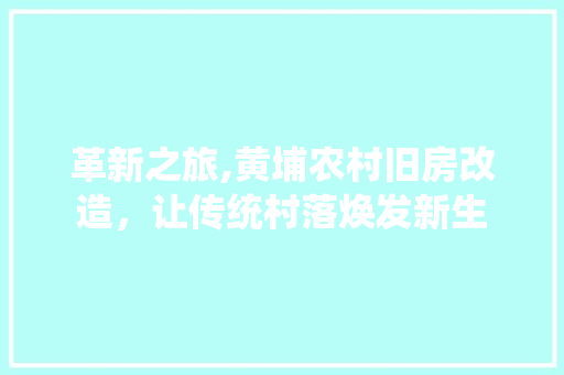 革新之旅,黄埔农村旧房改造，让传统村落焕发新生
