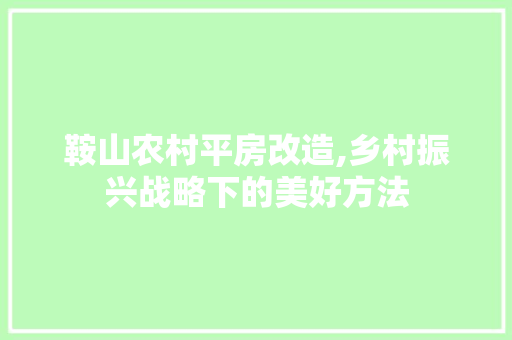 鞍山农村平房改造,乡村振兴战略下的美好方法