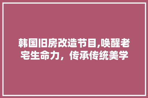 韩国旧房改造节目,唤醒老宅生命力，传承传统美学