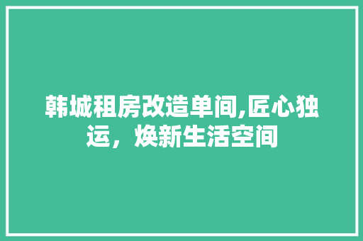 韩城租房改造单间,匠心独运，焕新生活空间