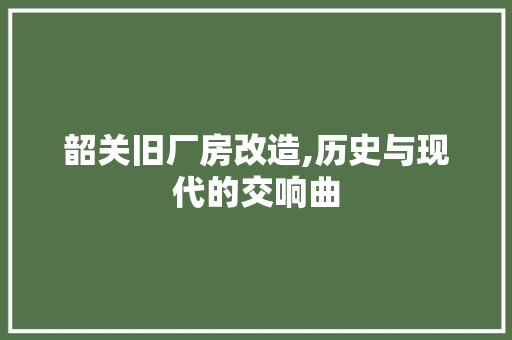 韶关旧厂房改造,历史与现代的交响曲