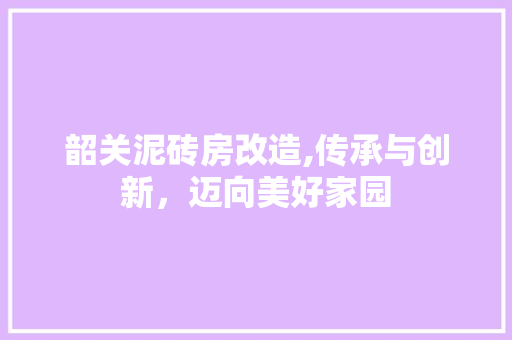 韶关泥砖房改造,传承与创新，迈向美好家园