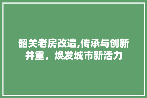 韶关老房改造,传承与创新并重，焕发城市新活力