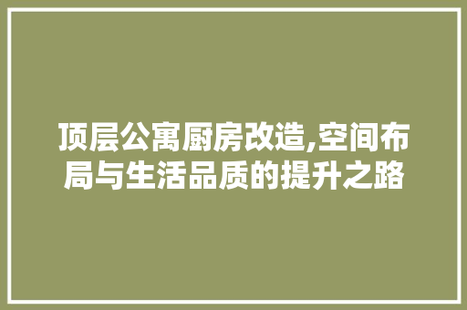 顶层公寓厨房改造,空间布局与生活品质的提升之路