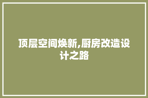 顶层空间焕新,厨房改造设计之路