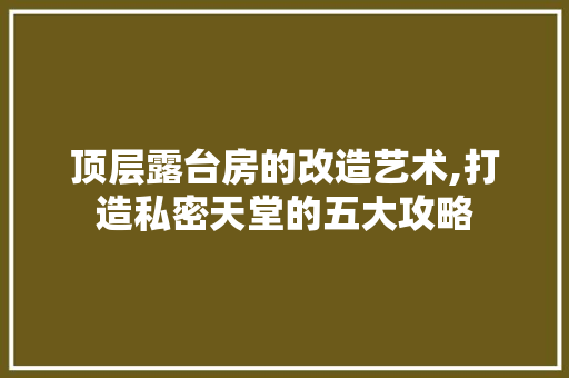 顶层露台房的改造艺术,打造私密天堂的五大攻略