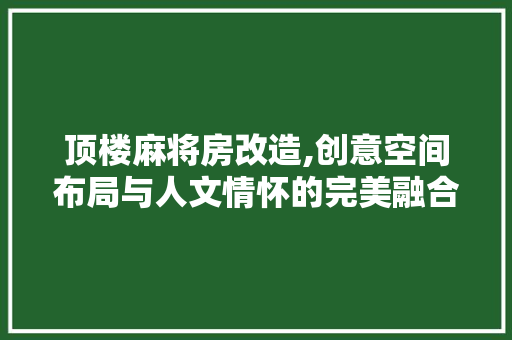 顶楼麻将房改造,创意空间布局与人文情怀的完美融合