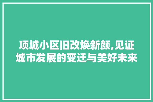 项城小区旧改焕新颜,见证城市发展的变迁与美好未来