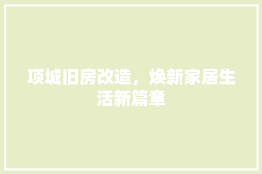 项城旧房改造，焕新家居生活新篇章