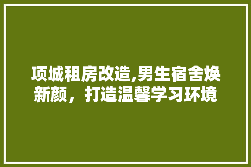 项城租房改造,男生宿舍焕新颜，打造温馨学习环境