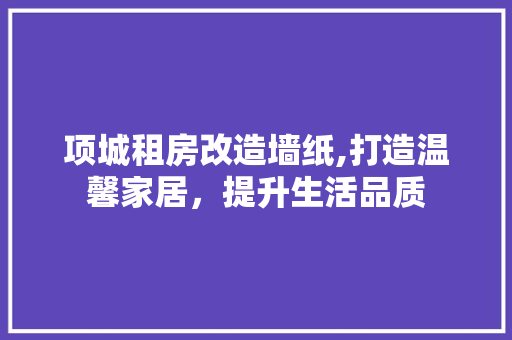 项城租房改造墙纸,打造温馨家居，提升生活品质