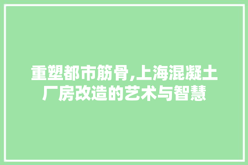 重塑都市筋骨,上海混凝土厂房改造的艺术与智慧