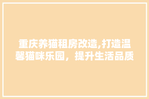 重庆养猫租房改造,打造温馨猫咪乐园，提升生活品质