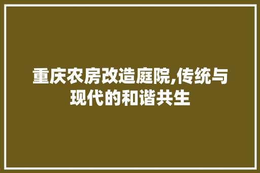 重庆农房改造庭院,传统与现代的和谐共生