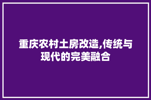 重庆农村土房改造,传统与现代的完美融合