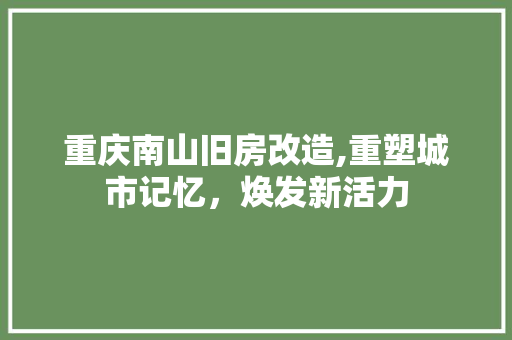 重庆南山旧房改造,重塑城市记忆，焕发新活力