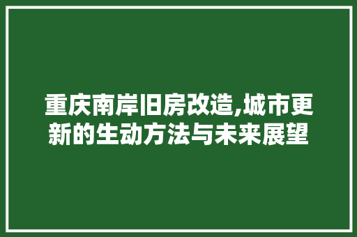 重庆南岸旧房改造,城市更新的生动方法与未来展望