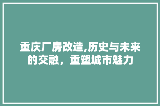 重庆厂房改造,历史与未来的交融，重塑城市魅力