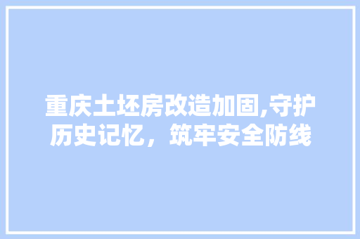 重庆土坯房改造加固,守护历史记忆，筑牢安全防线