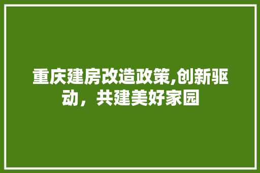 重庆建房改造政策,创新驱动，共建美好家园
