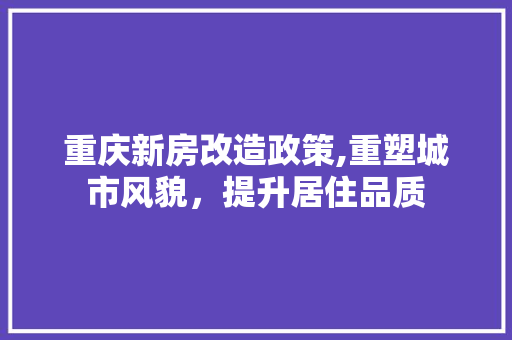 重庆新房改造政策,重塑城市风貌，提升居住品质