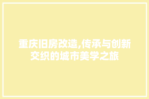 重庆旧房改造,传承与创新交织的城市美学之旅